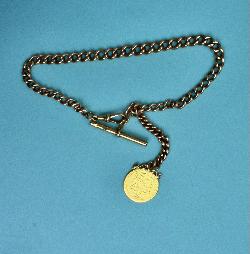 Vintage Albert Watch Chain With Sovereign